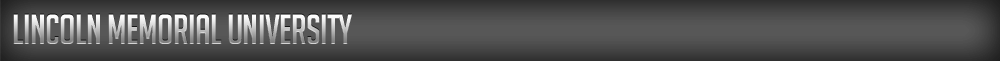 Lincoln Memorial University Icon 